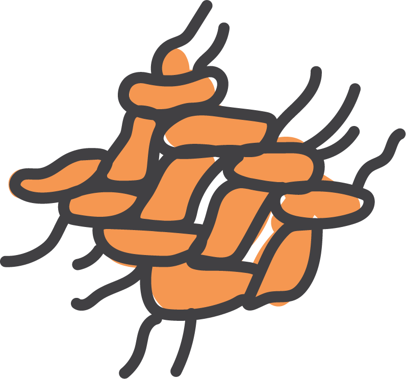 drawing of basket weaving