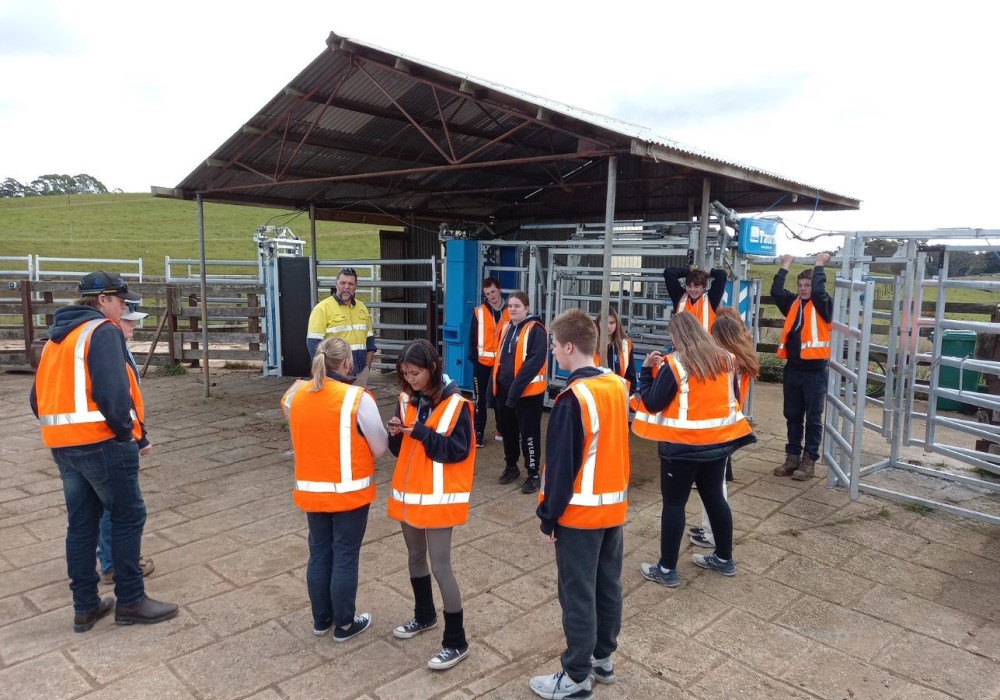 students visiting a dairy farm