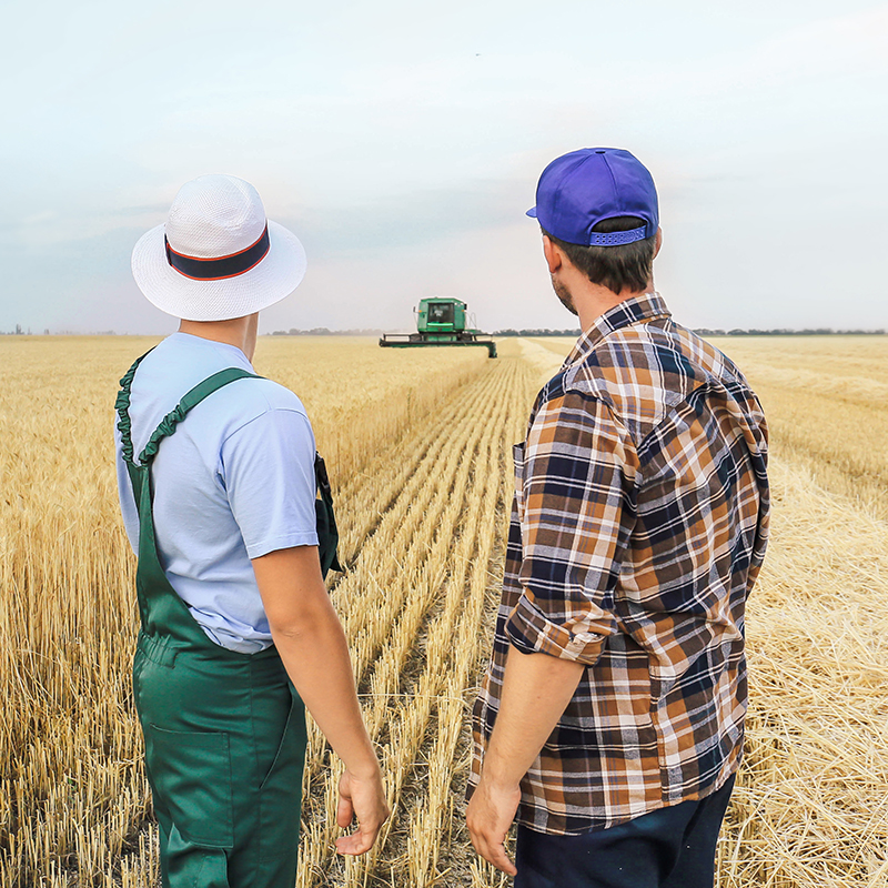Two farmers standing in a paddock watching machinery