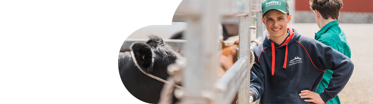 Header Banner – WBL