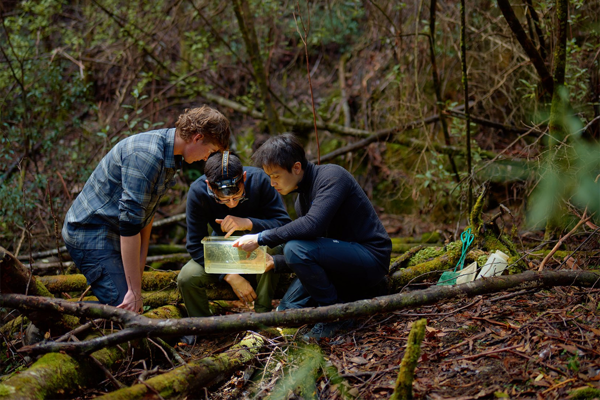 Natural Sciences Experience: From Critters to the Cosmos 2027 (Immersive Camp)