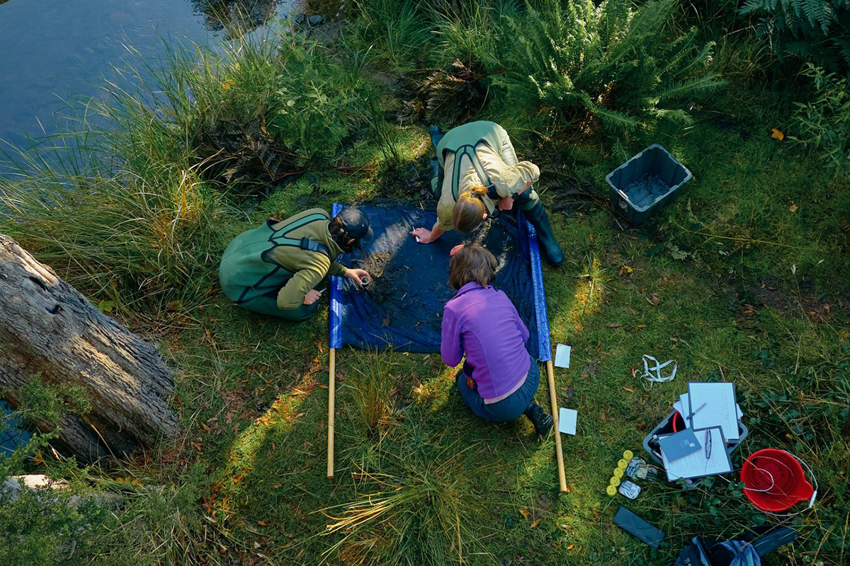 Science students studying in the field next to the river