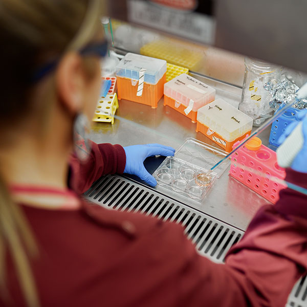 Scientist working with medical samples