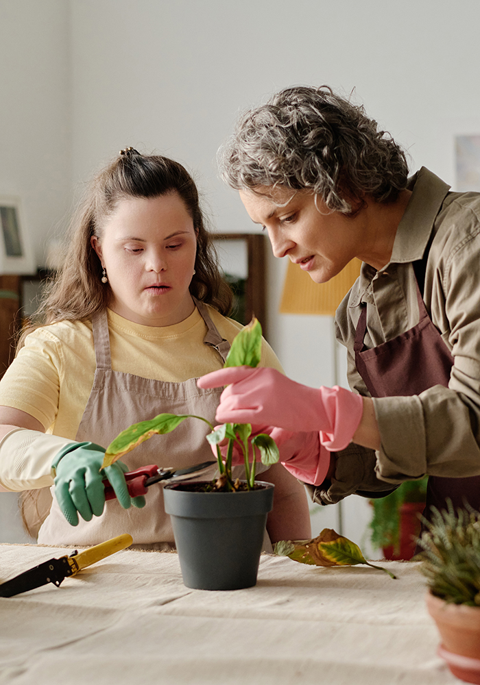 Florist transplanting green plant in pot together with girl with down syndrome at table